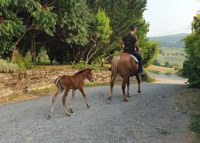 Gospodarstwo agroturystyczne Corte Del Gallo