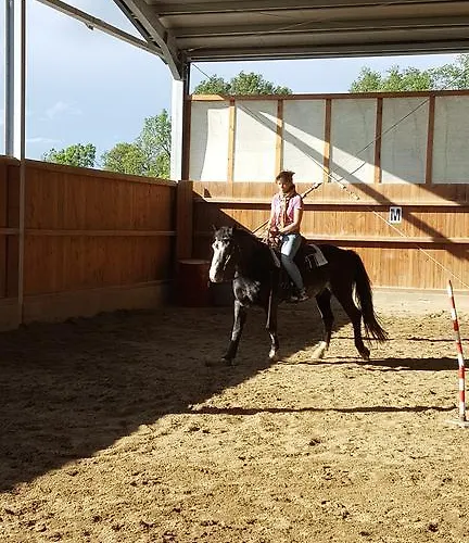 Gospodarstwo agroturystyczne Corte Del Gallo