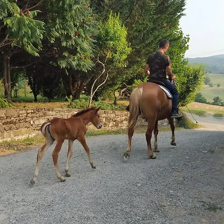 Farm stay Corte Del Gallo